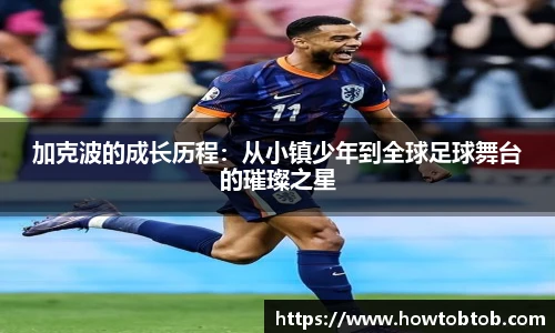 专业足球平台